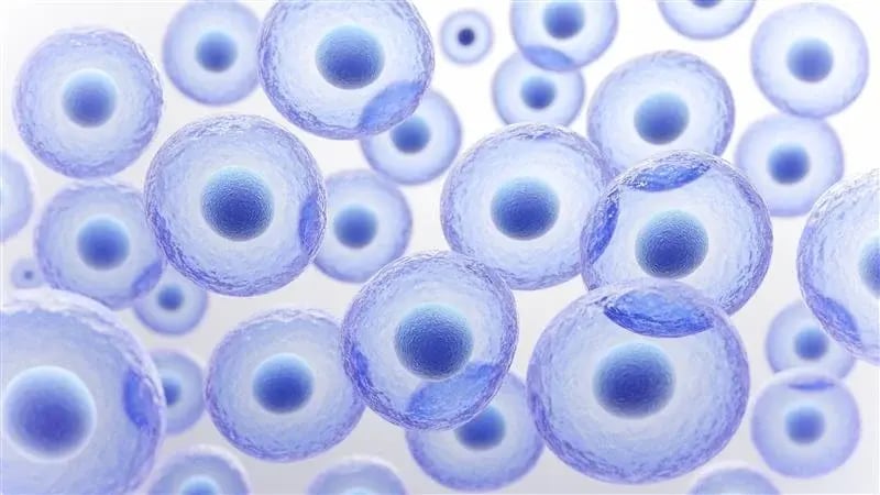 AltaEMBRYOS
