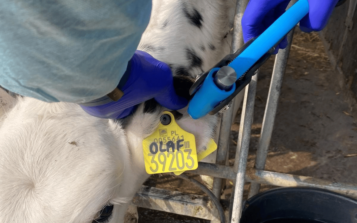 Genomic Testing Polska
