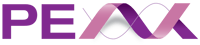 Logo-Peak-words_large