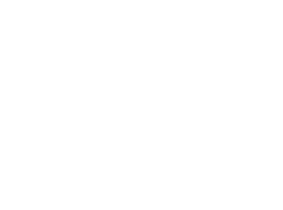 HandShake-biały