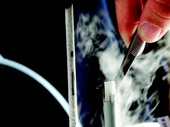 Procedura rozmrażanie nasienia i inseminacja bydła.