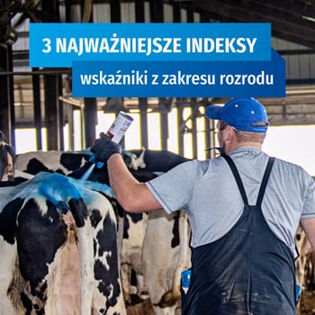 Zarządzanie ROZRODEM bydła – INDEKSY.