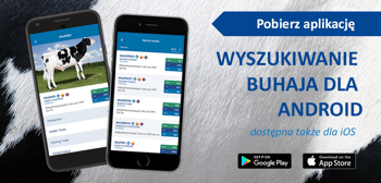 Bull Search App now on Android and Apple iOS, Download today