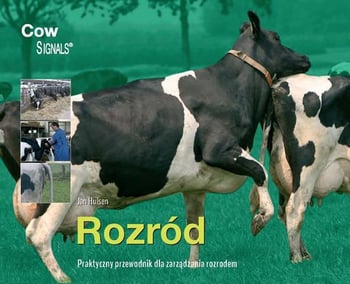 Seria Krowie Sygnały 