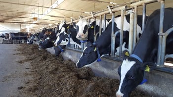 7 korzyści, dzięki którym opłaca się zainwestować w Alta COW WATCH na swojej fermie.