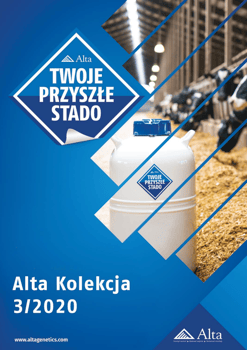 Nowy katalog 3/2020