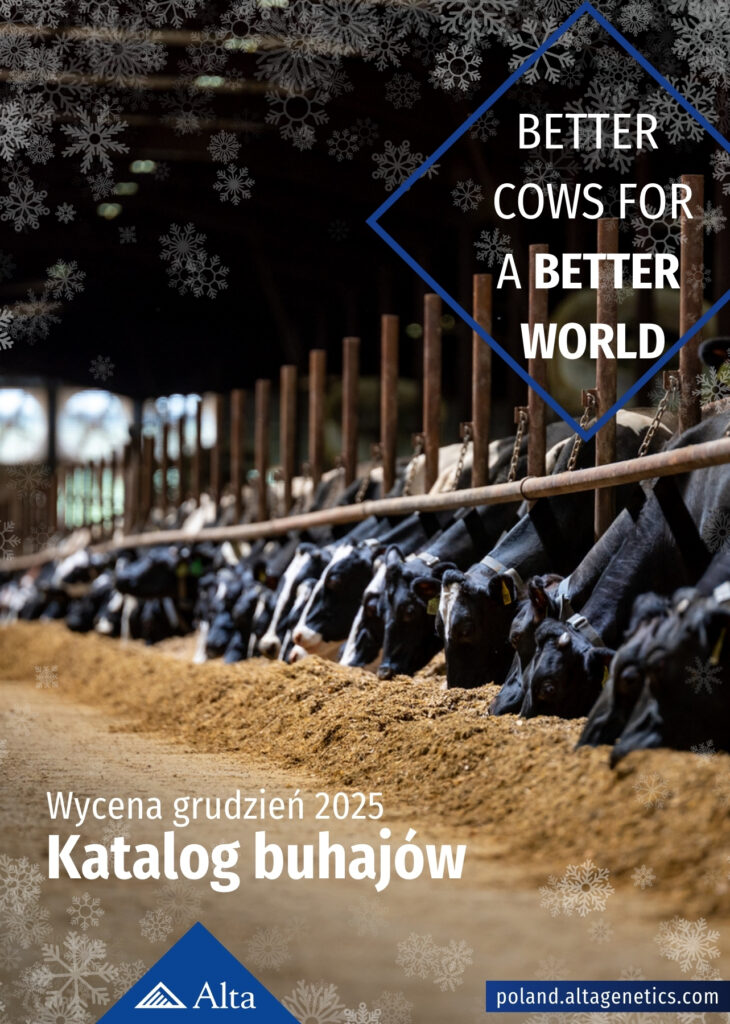 Alta katalog buhajów wycena grudzień 2025