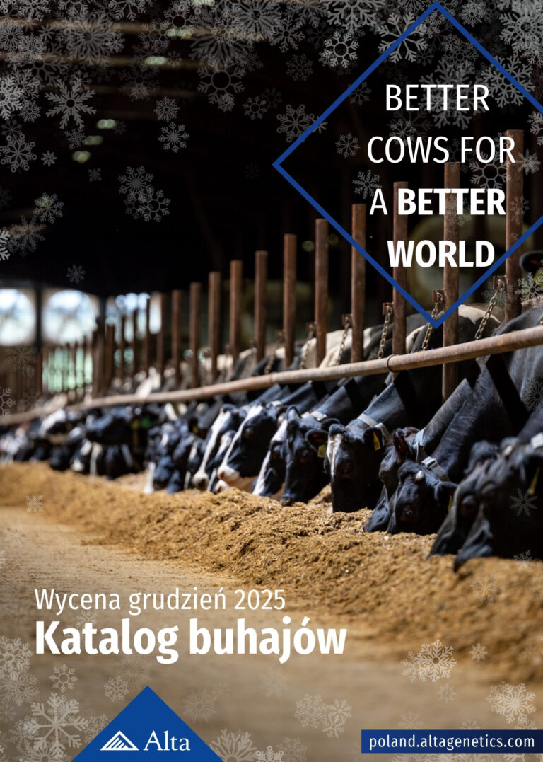 Alta katalog buhajów wycena grudzień 2025