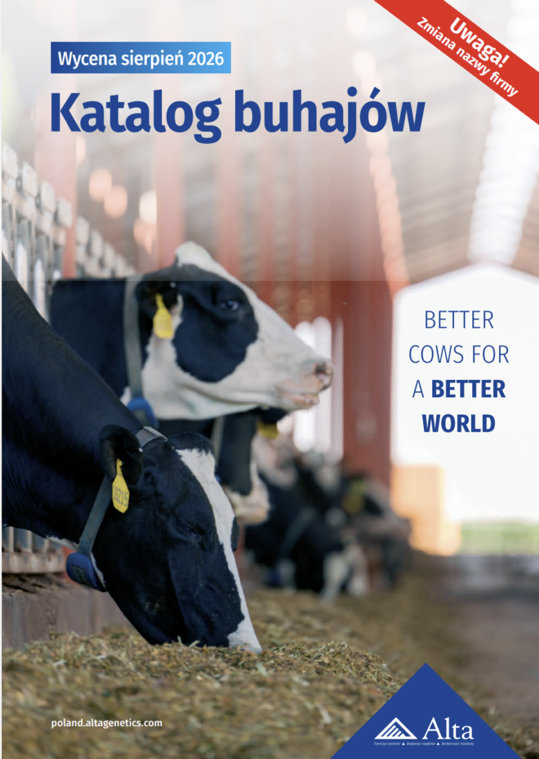 Katalog buhajów Alta sierpień 2026